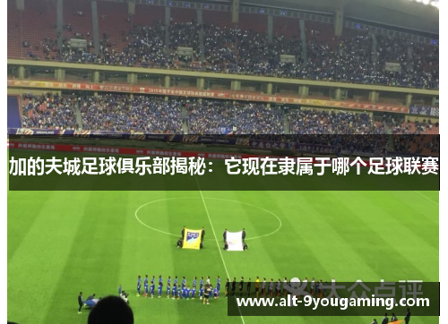 加的夫城足球俱乐部揭秘：它现在隶属于哪个足球联赛