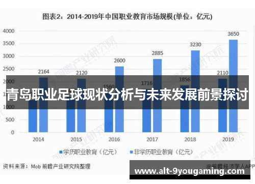 青岛职业足球现状分析与未来发展前景探讨